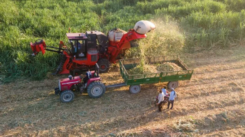 تولید شکر سفید برای نخستین‌بار از ۸۶۶ هزار تُن گذشت